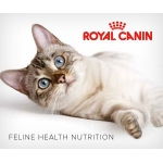 ROYAL CANIN FELINE HEALTH NUTRITION